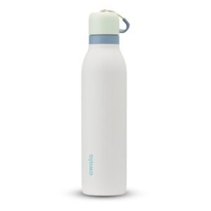Owala FreeSip Twist Insulated Stainless Steel Water Bottle, 24oz – Sage/Mint Green